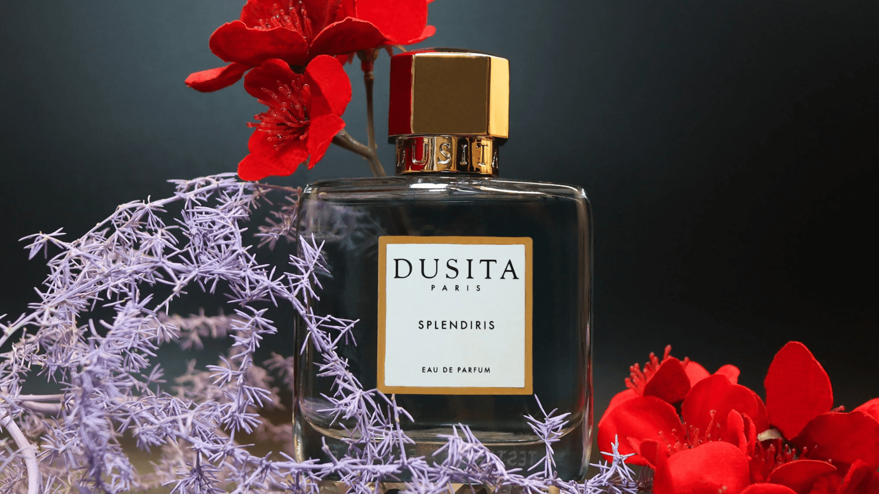 Dusita Splendiris EDP Feature image