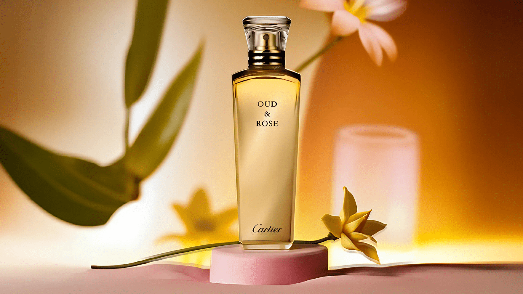 Cartier Oud & Rose Parfum Feature image