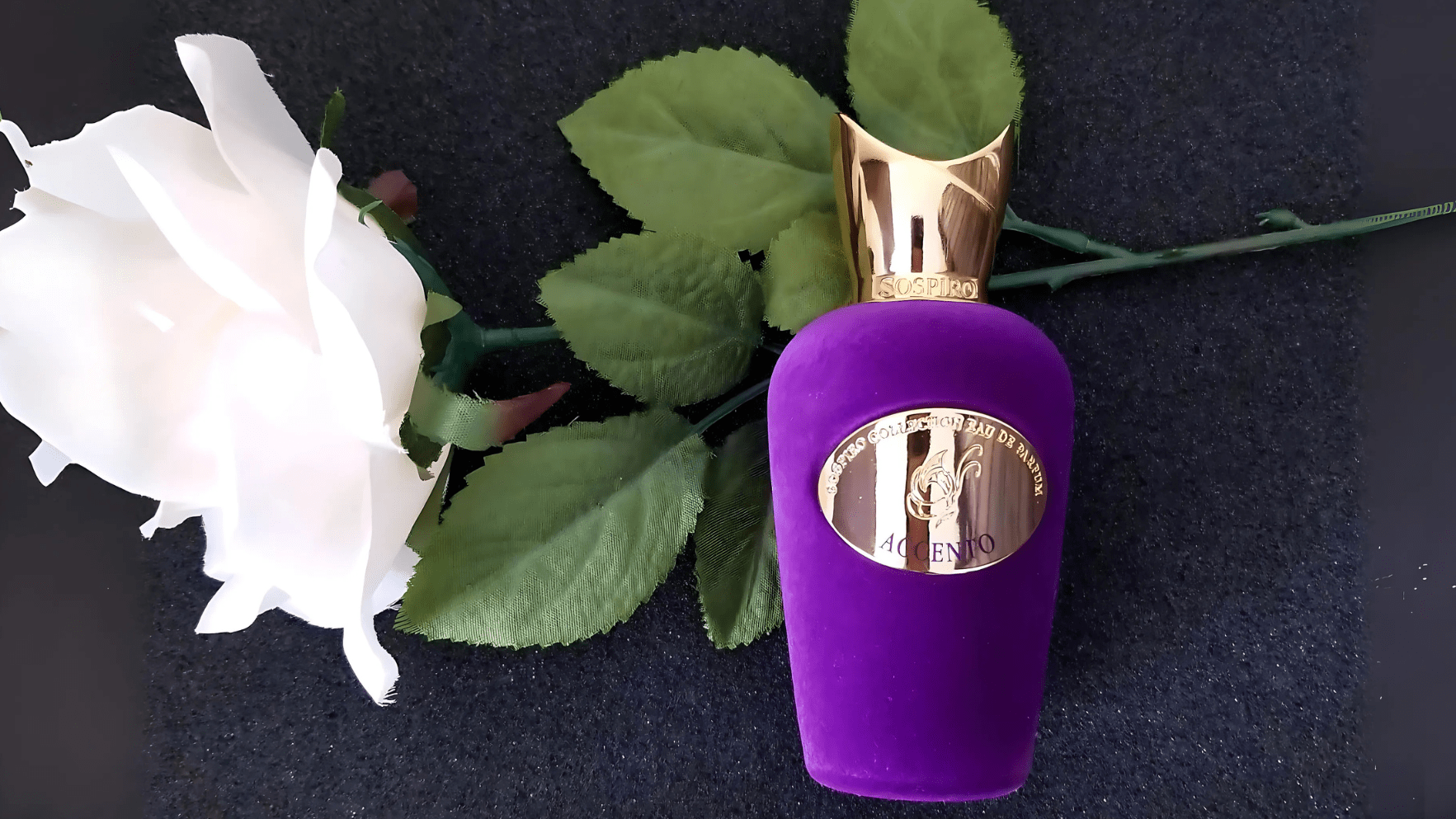 Sospiro Accento EDP Feature image