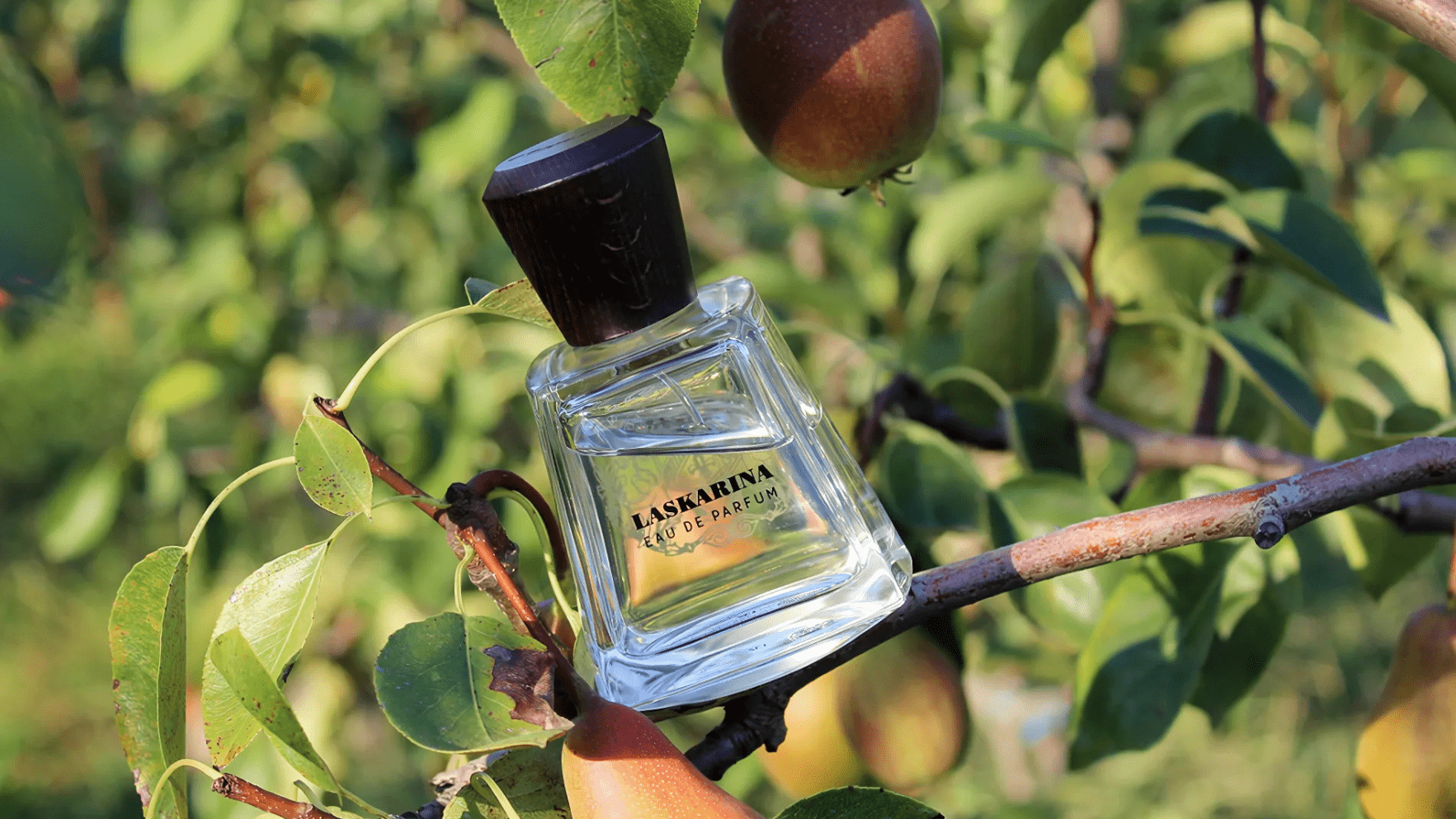 Frapin Laskarina EDP Feature image
