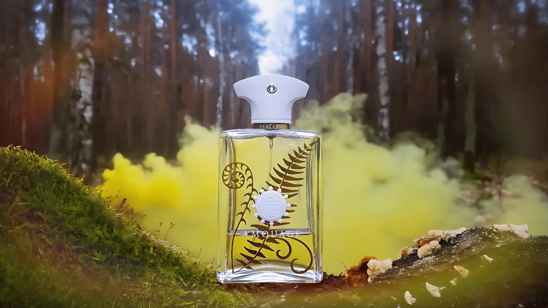 Amouage Bracken Man EDP Feature image