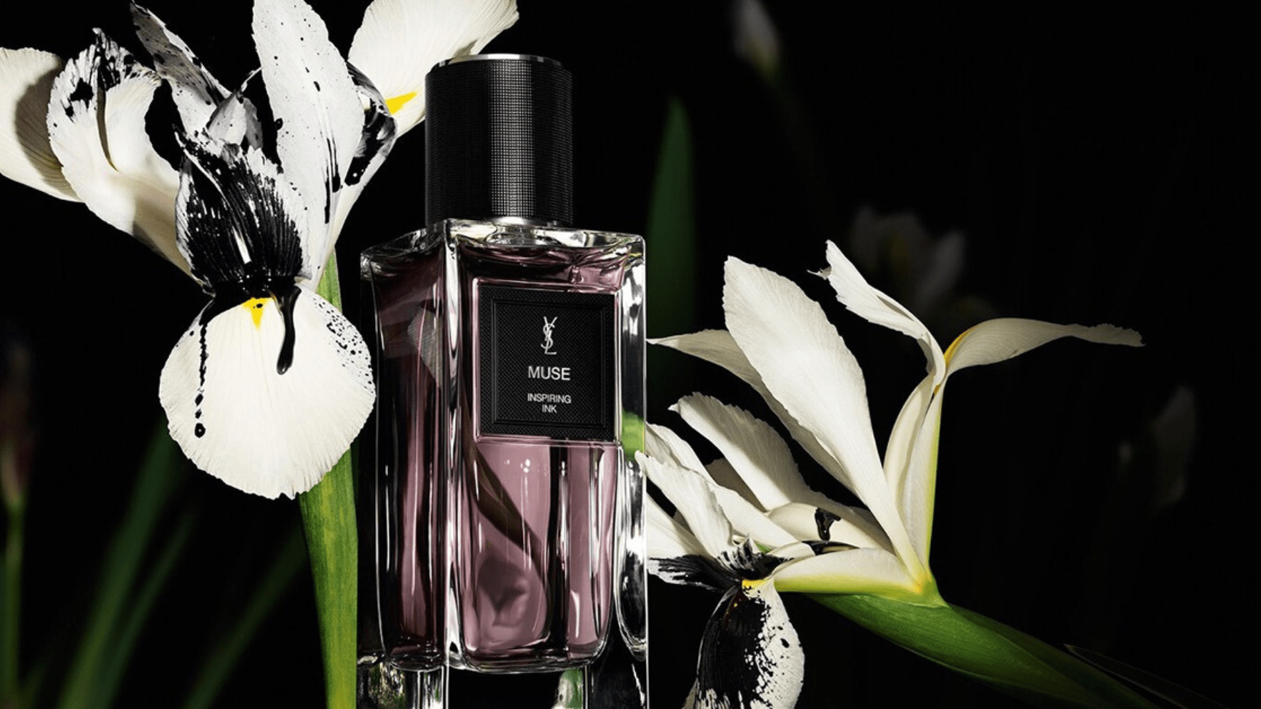 Yves Saint Laurent Muse Feature image
