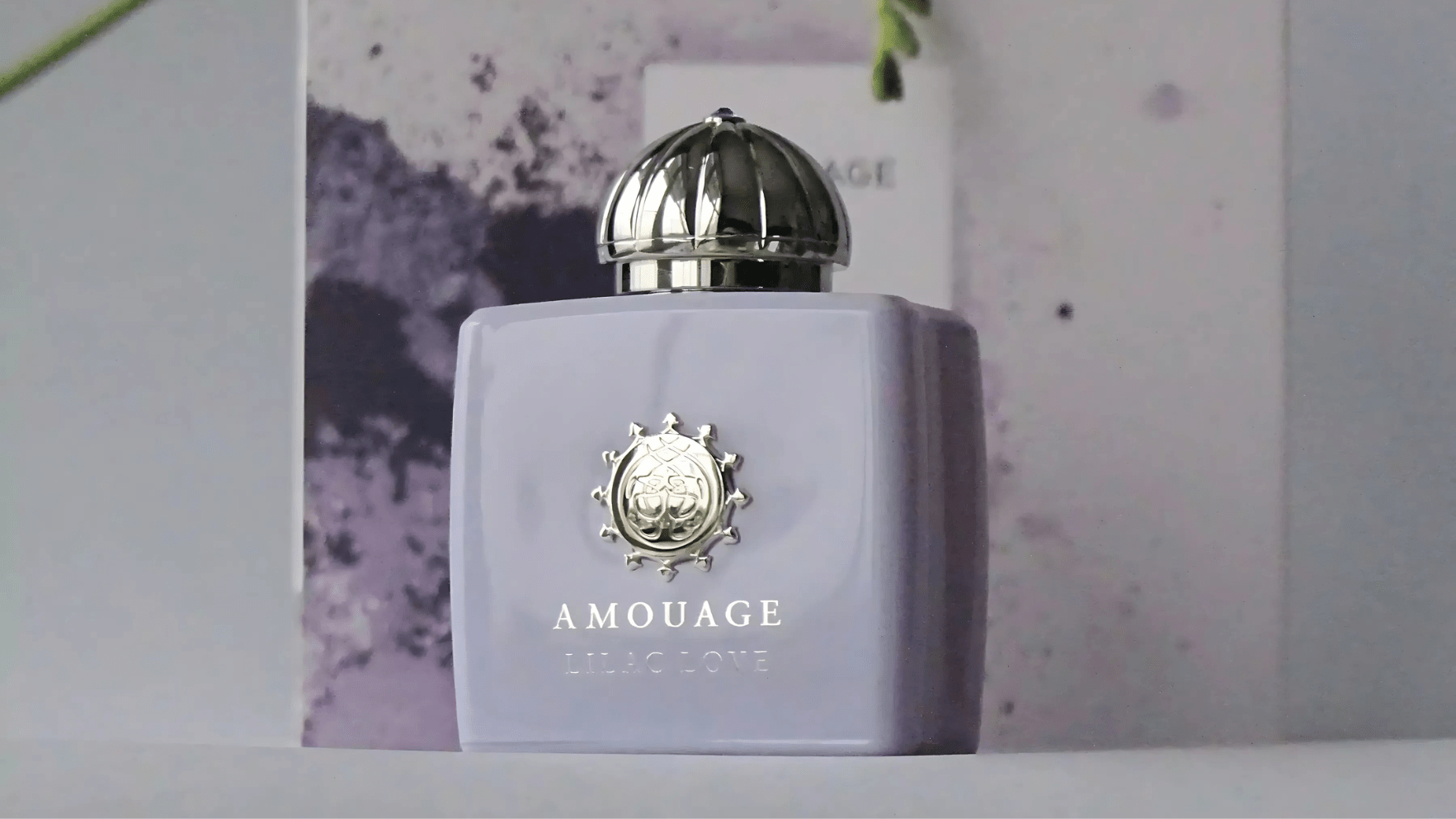 Amouage Lilac Love Woman EDP Feature image