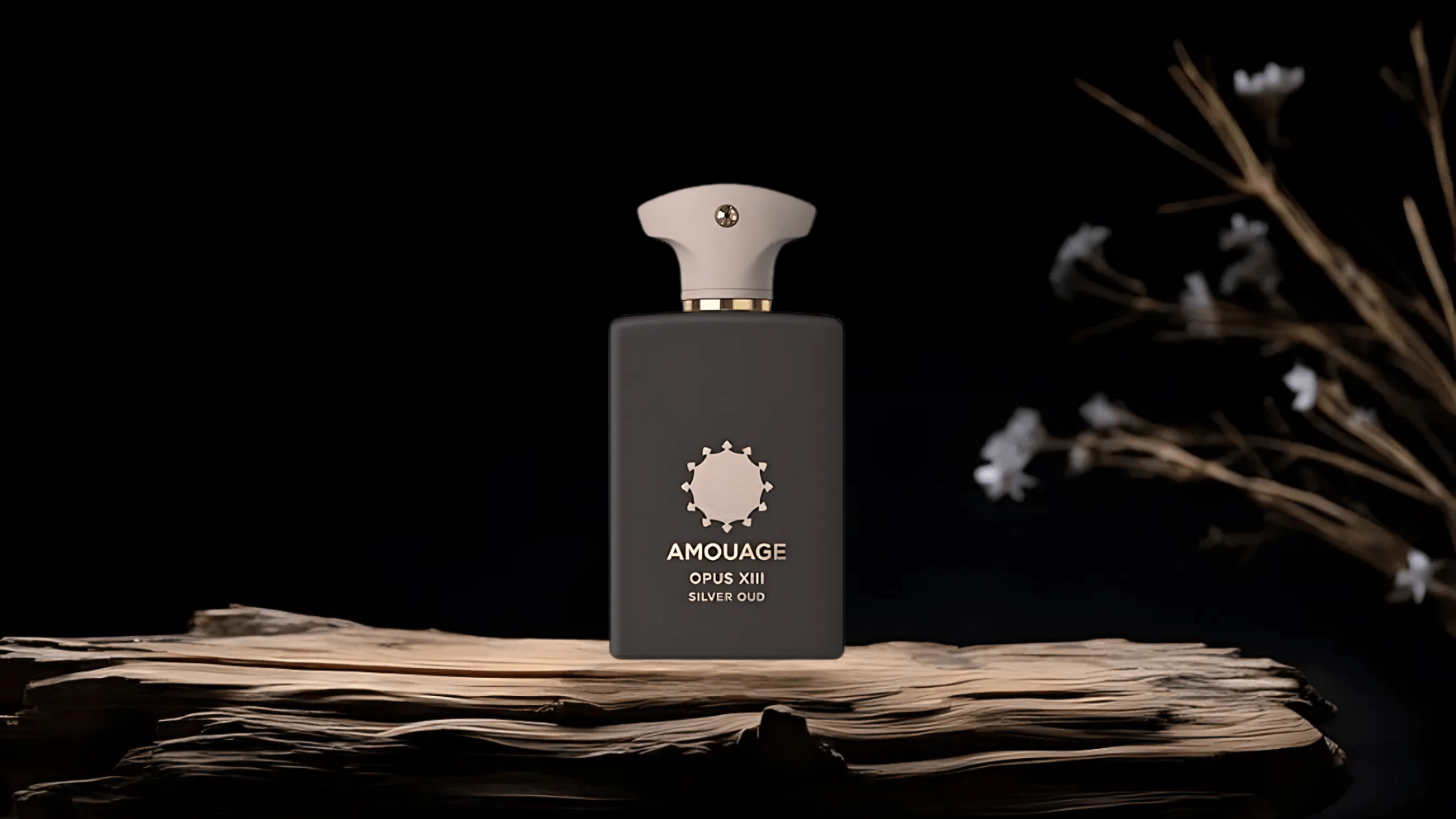 Amouage Opus XIII: Silver Oud EDP Feature image