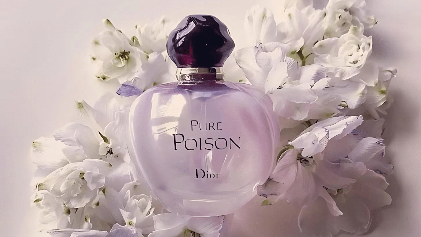 Christian Dior Pure Poison EDP Feature image