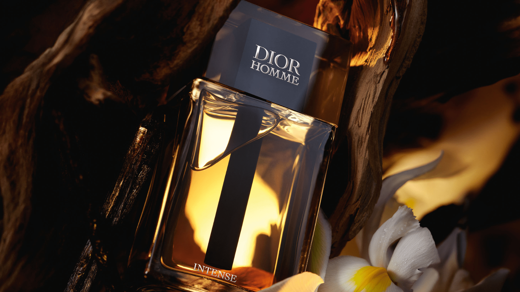Christian Dior Dior Homme Intense EDP Feature image