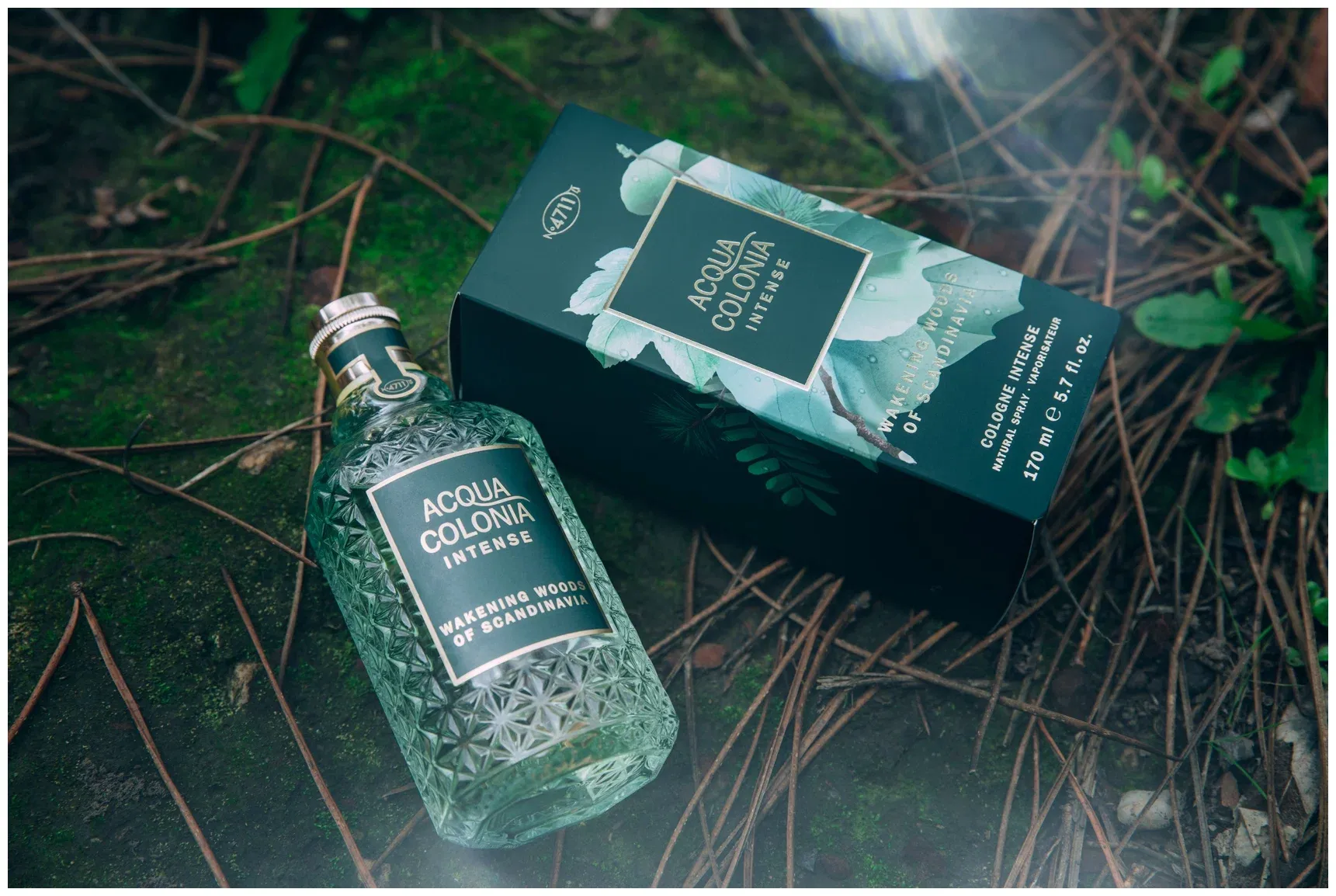 4711 Aqua Colonia Intense Wakening Woods of Scandinavia EDC Post image