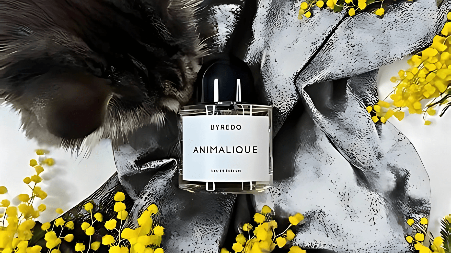 Byredo Animalique EDP Post image