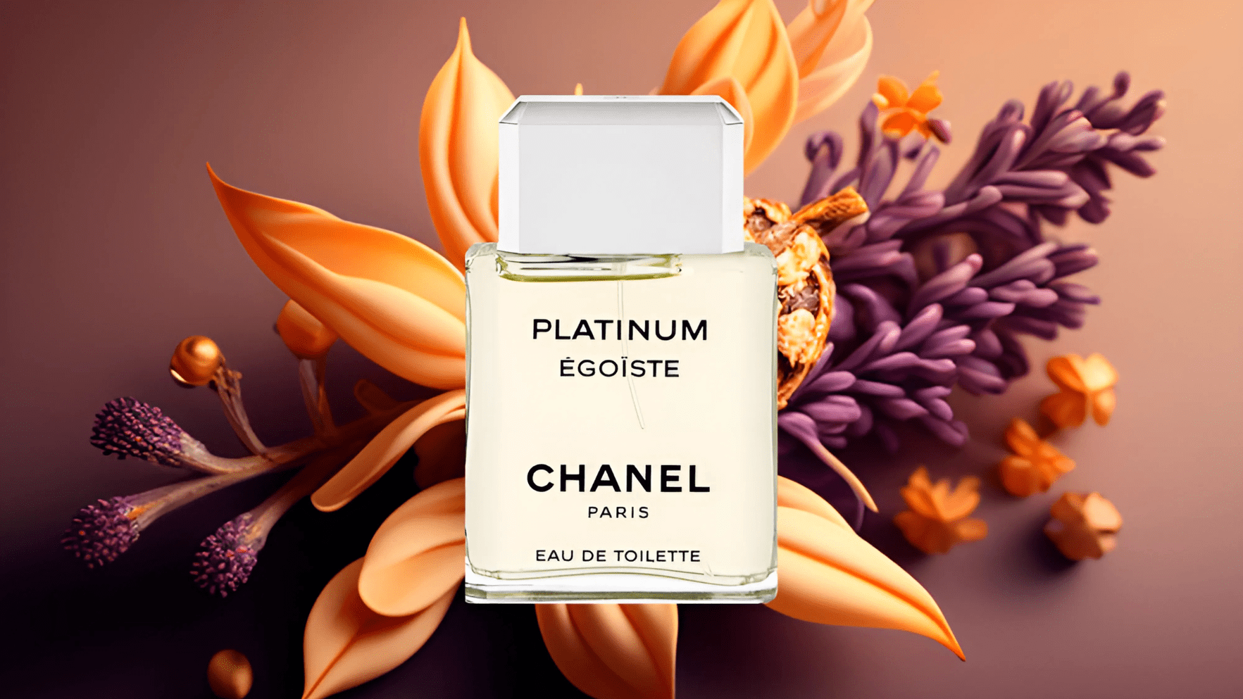 Chanel Platinum Égoïste EDT Post image