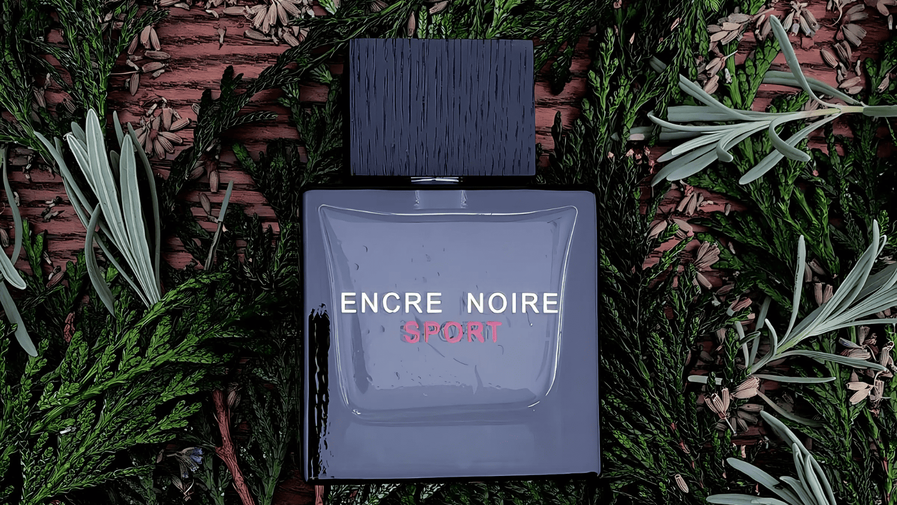 Lalique Encre Noire Sport Pour Homme EDT Post image