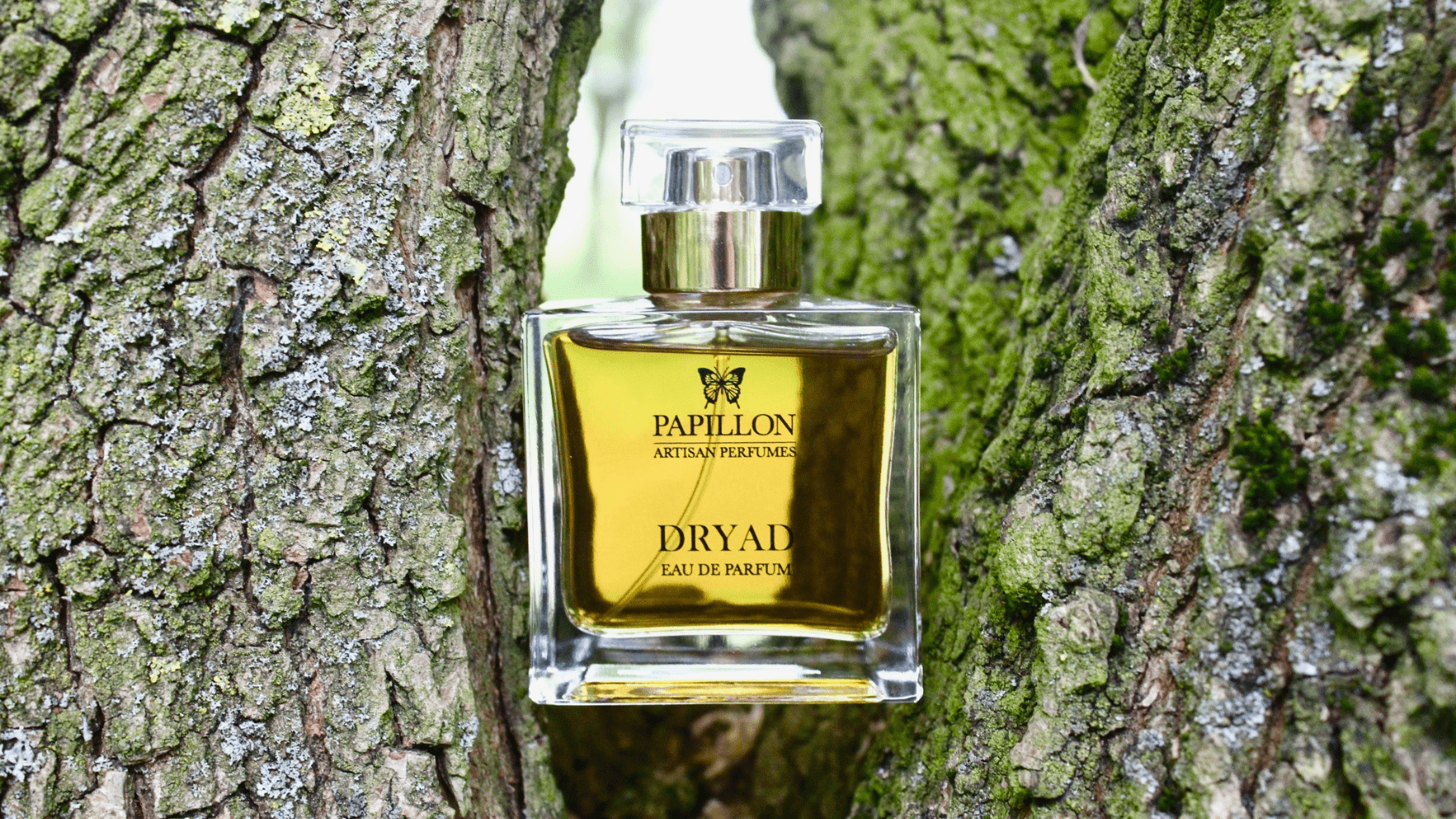 Papillon Dryad EDP Post image