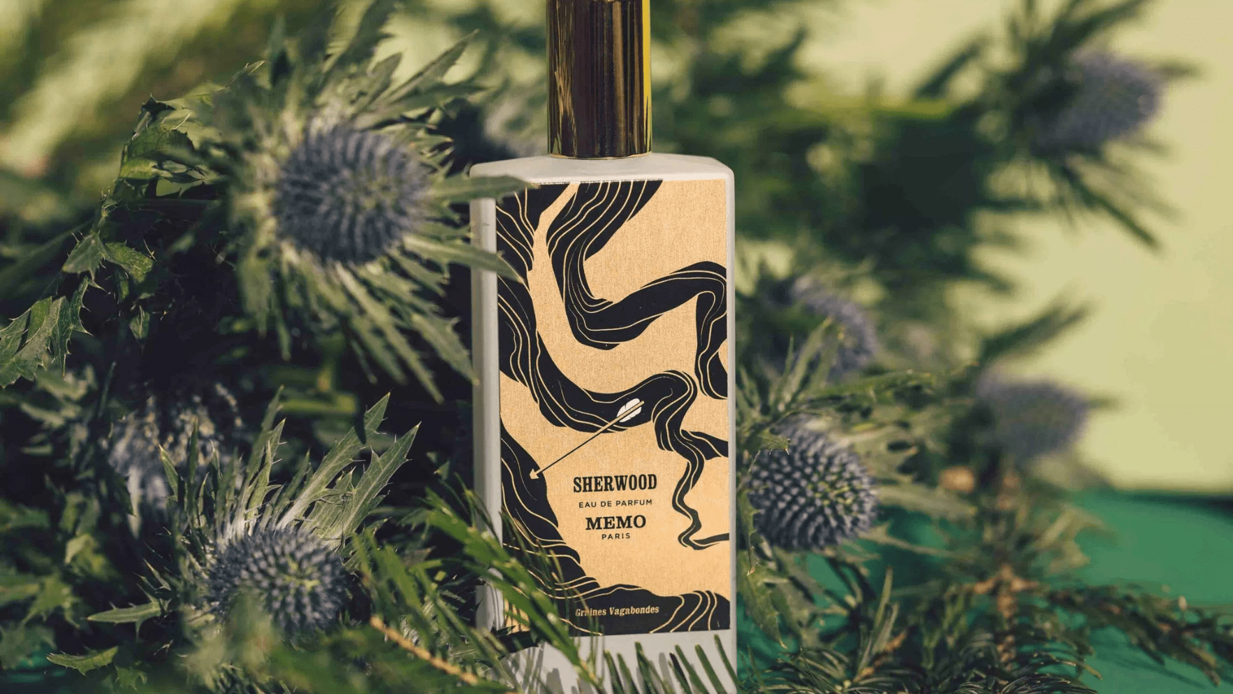 Memo Sherwood EDP Post image
