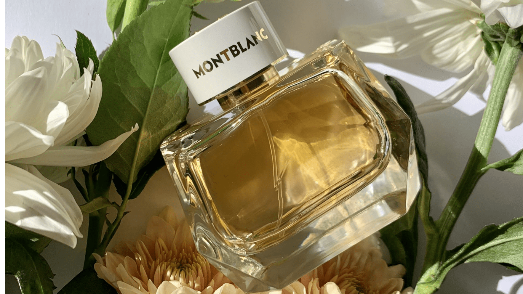 Mont Blanc Signature Absolue EDP Post image
