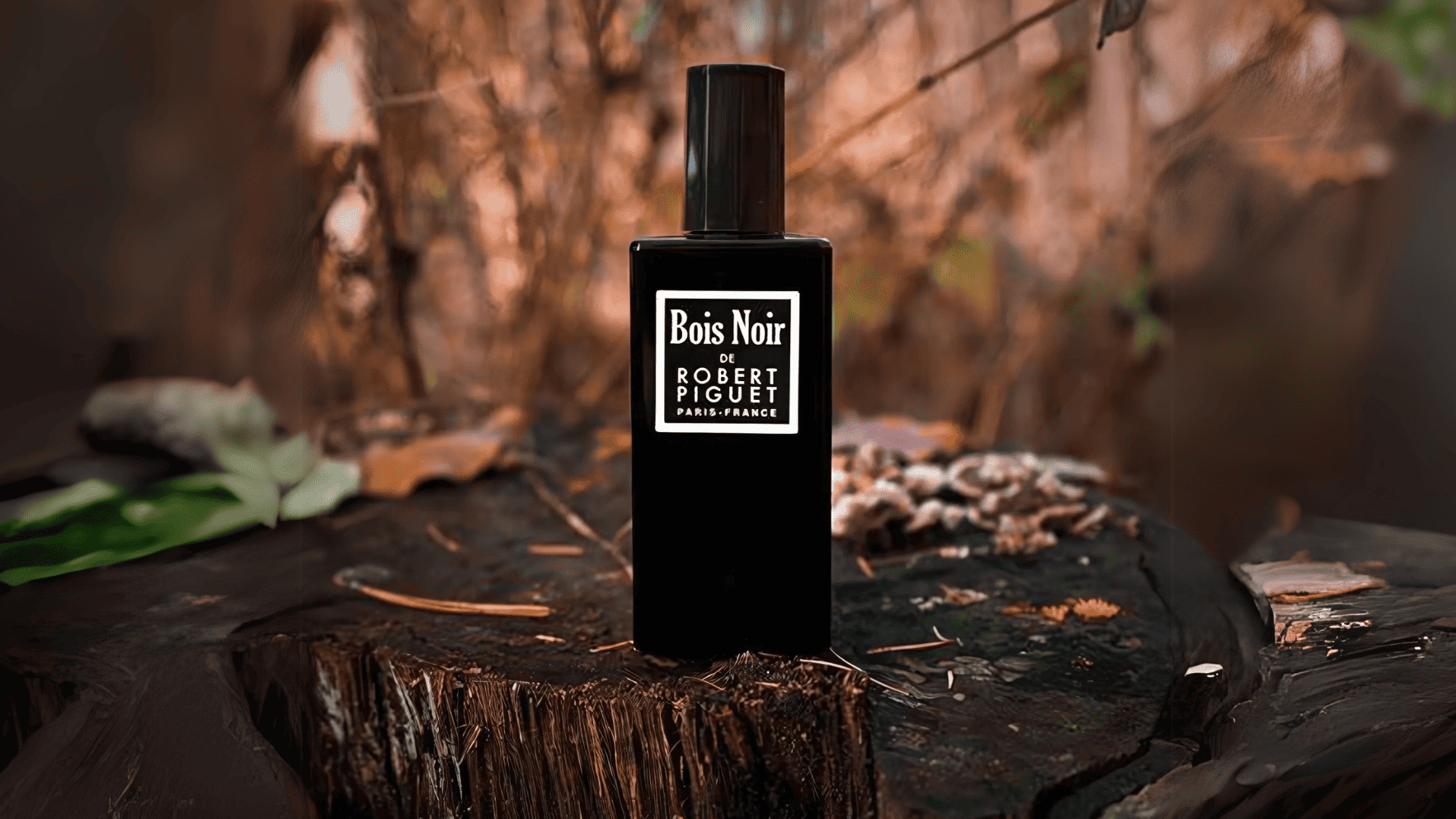 Robert Piguet Bois Noir EDP Post image