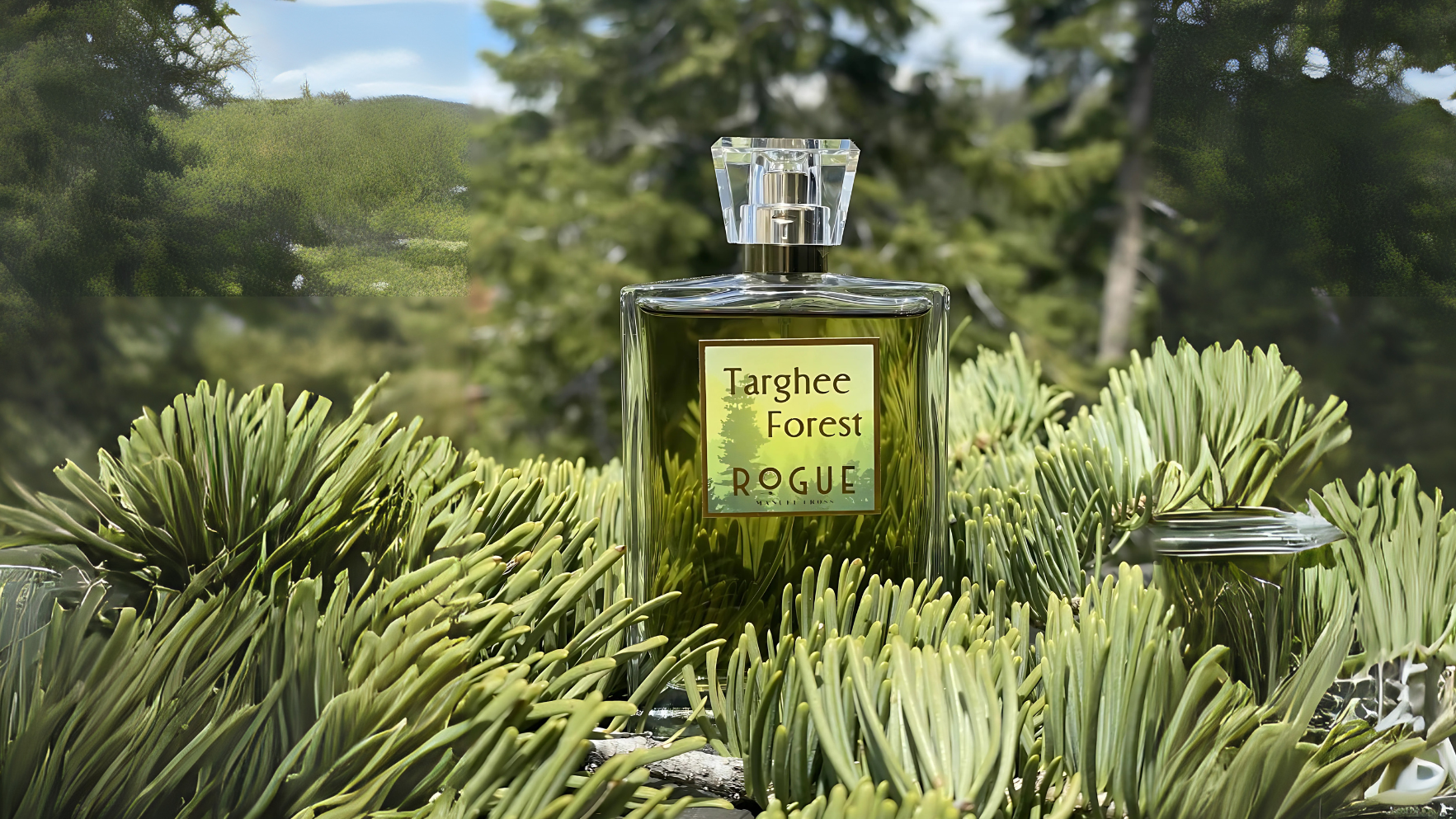 Rogue Targhee Forest EDT Post image