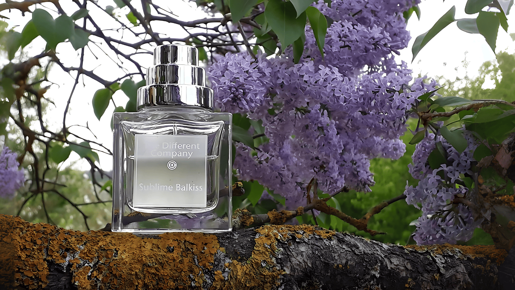 The Different Company Sublime Balkiss EDP Post image
