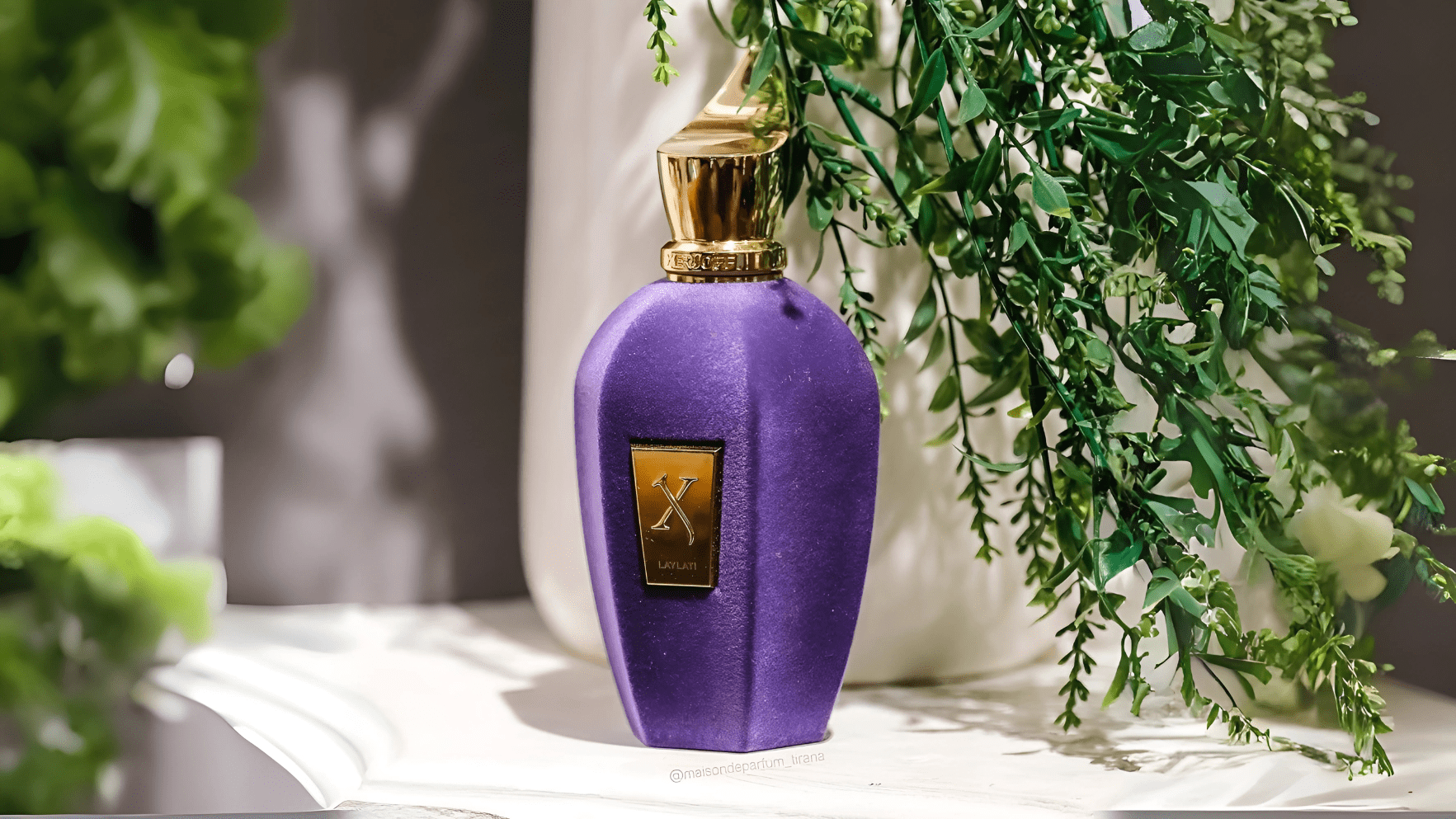 Xerjoff Laylati EDP Post image