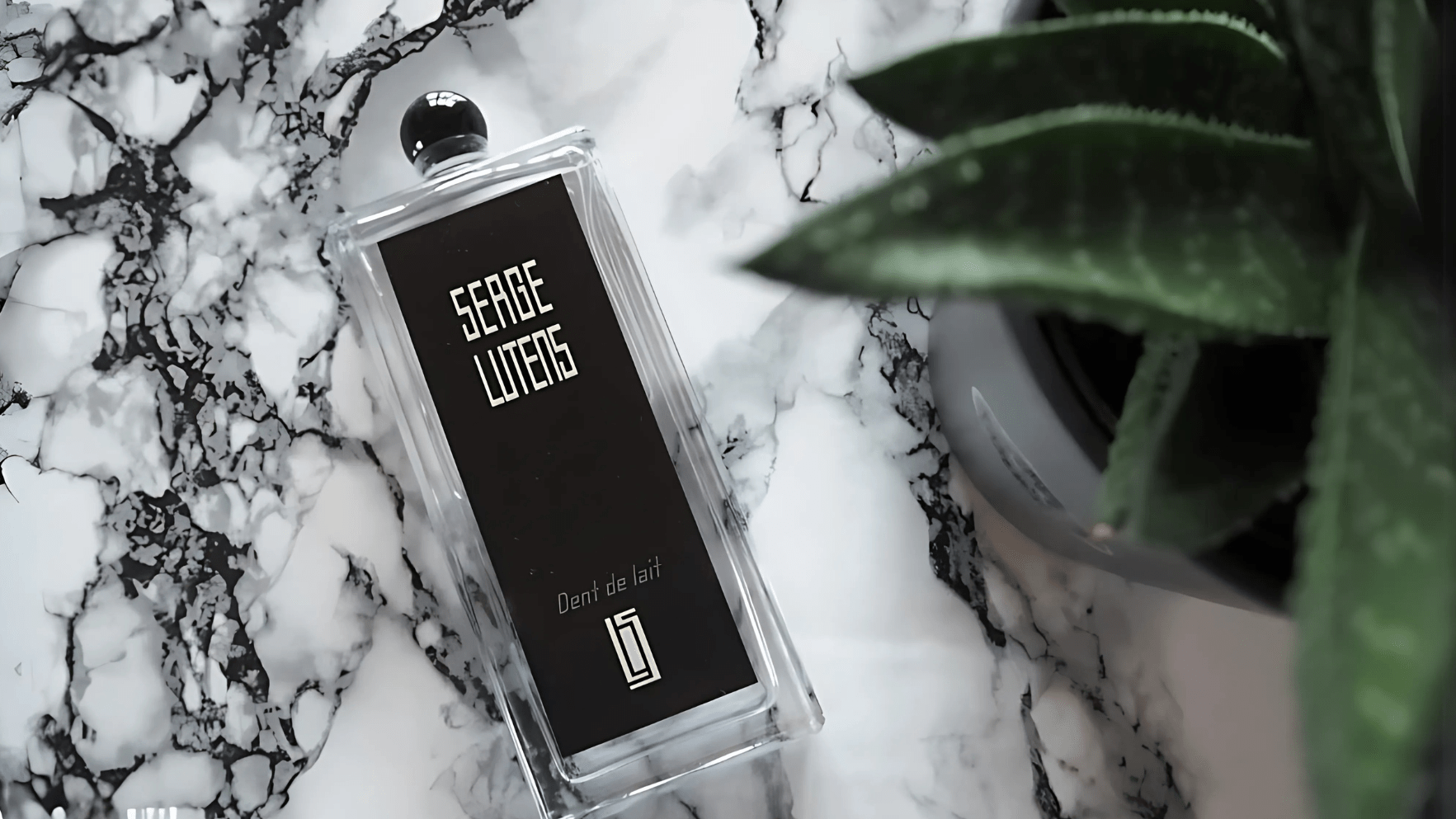 Serge Lutens Dent De Lait EDP Post image