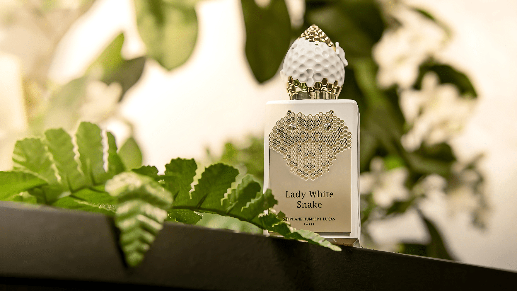 Stephane Humbert Lucas Lady White Snake EDP Post image