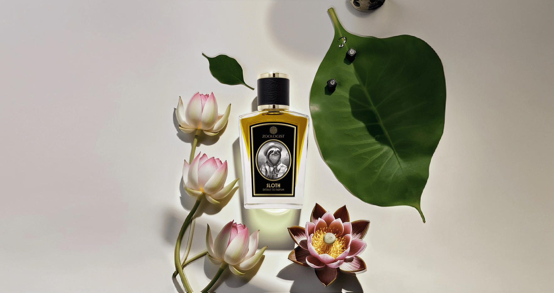 Zoologist Sloth Extrait De Parfum Post image