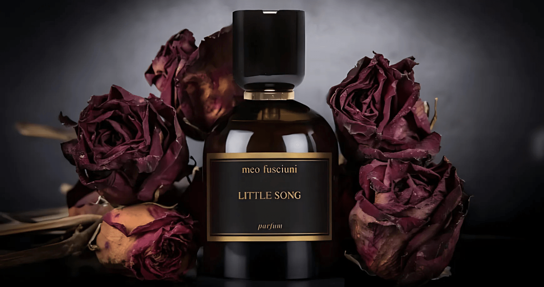 Meo Fusciuni Little Song Parfum Post image