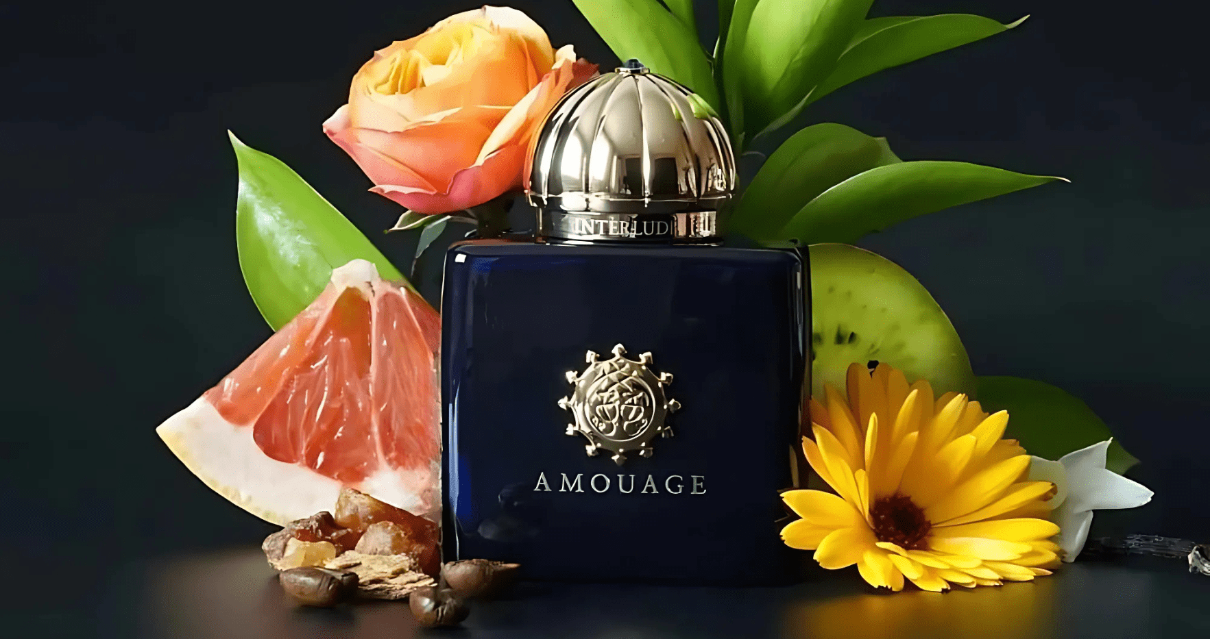 Amouage Interlude Woman EDP Post image