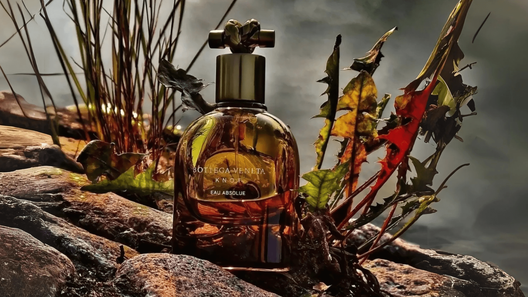 Bottega Veneta Knot Eau Absolue EDP Post image