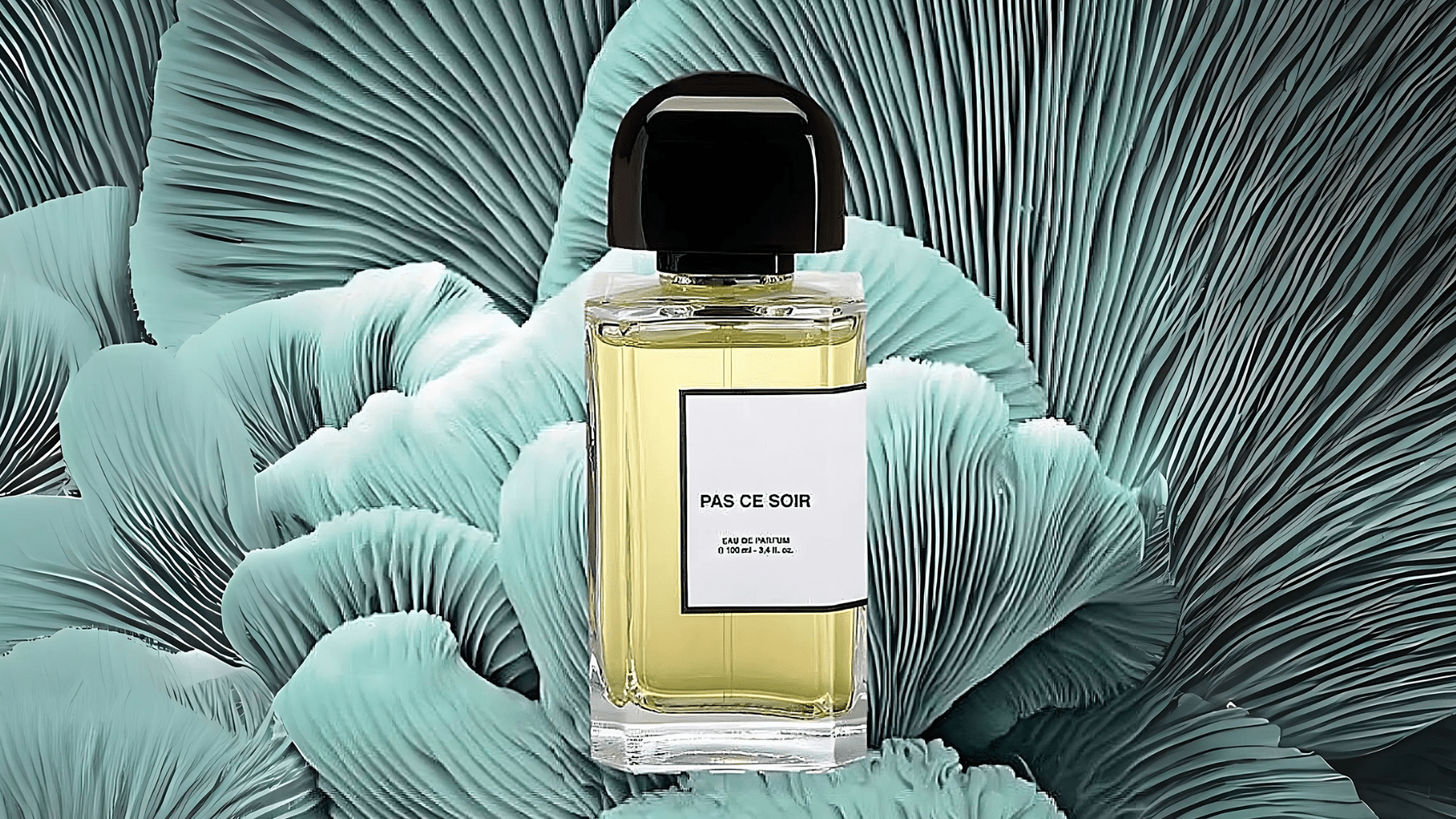 BDK Pas Ce Soir EDP Post image