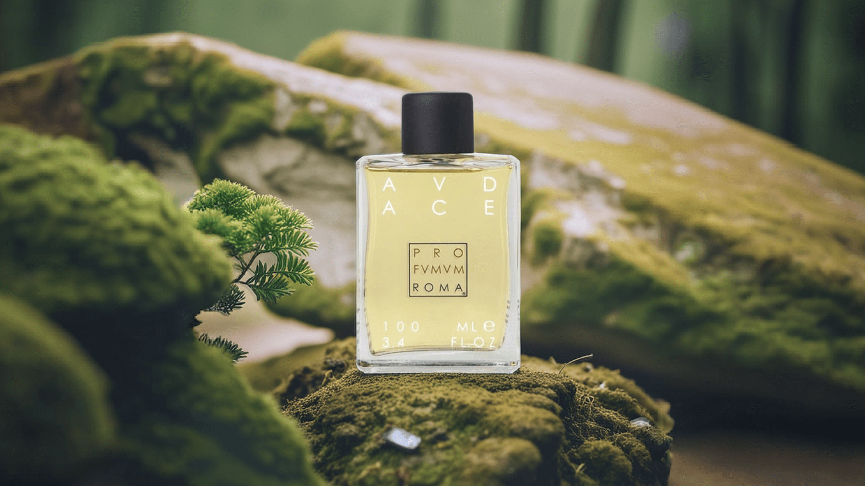 Profumum Roma Audace EDP Post image