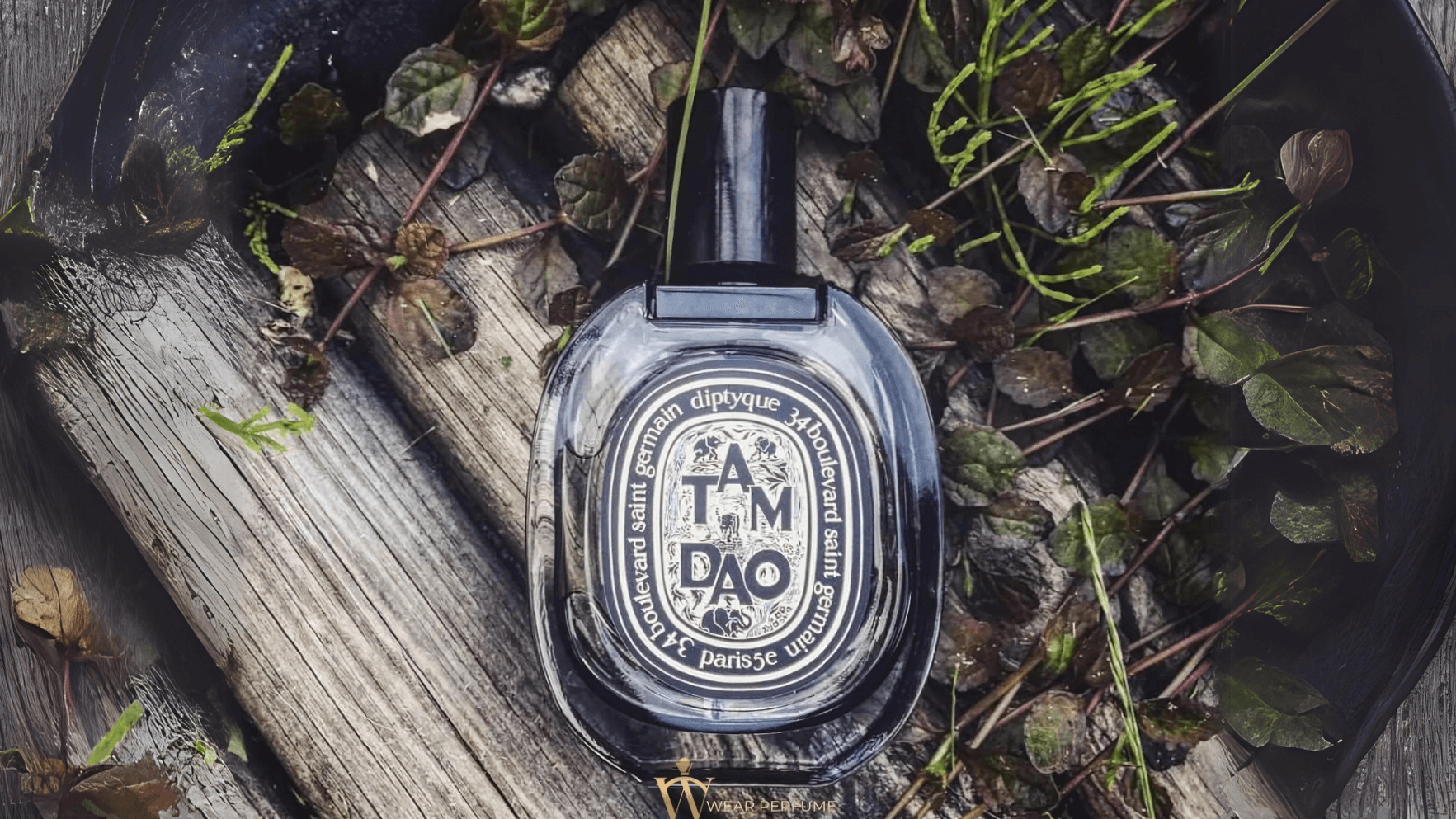 Diptyque Tam Dao EDP Post image