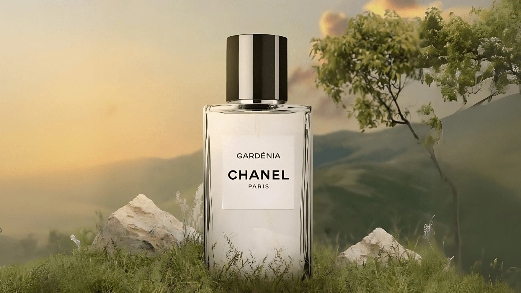 Chanel Gardenia EDP Post image