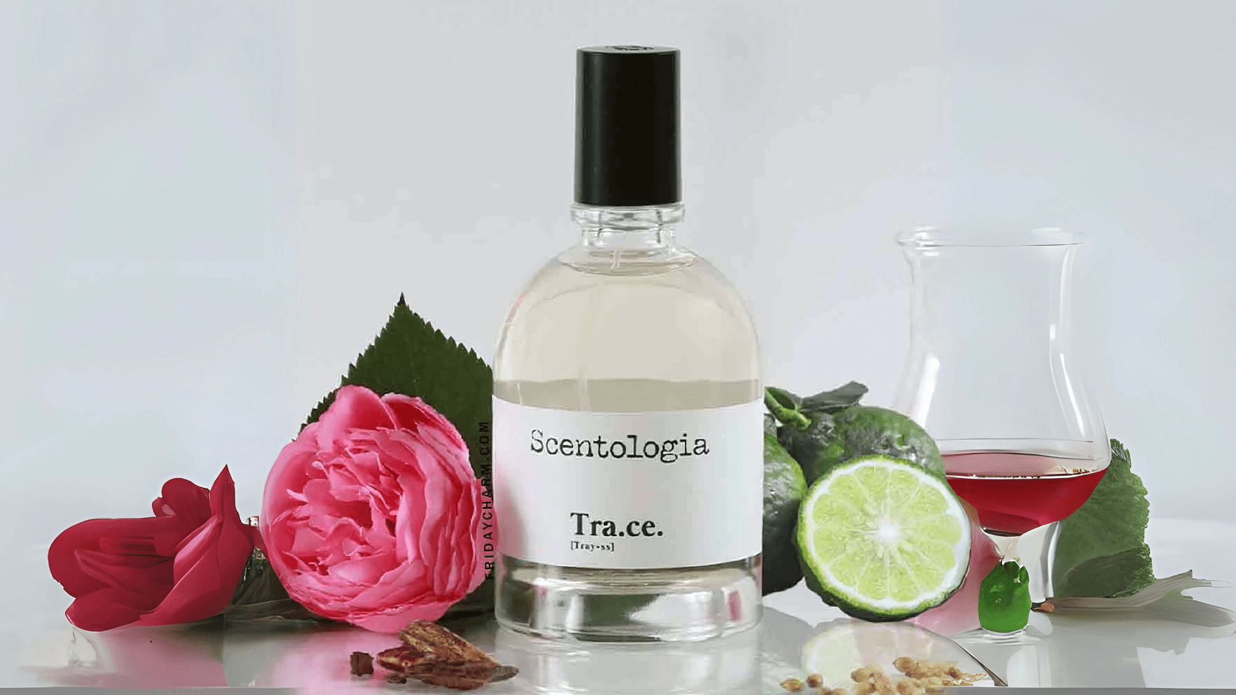 Scentologia Trace EDP Post image