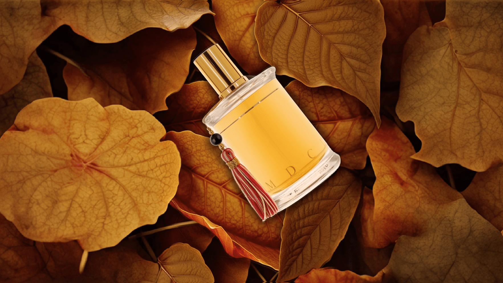 MDCI Cuir Garamante EDP Post image