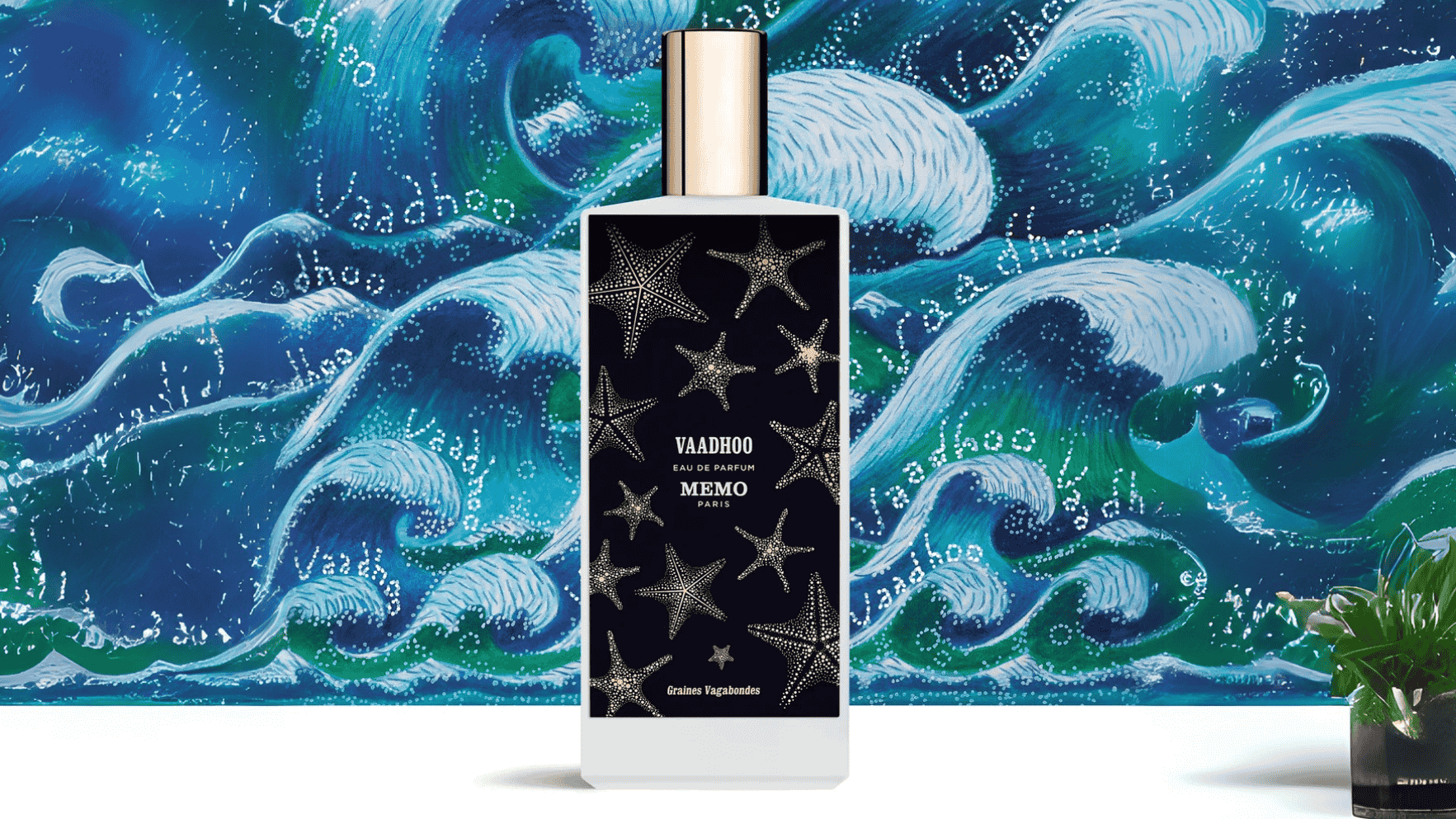 Memo Vaadhoo EDP Post image