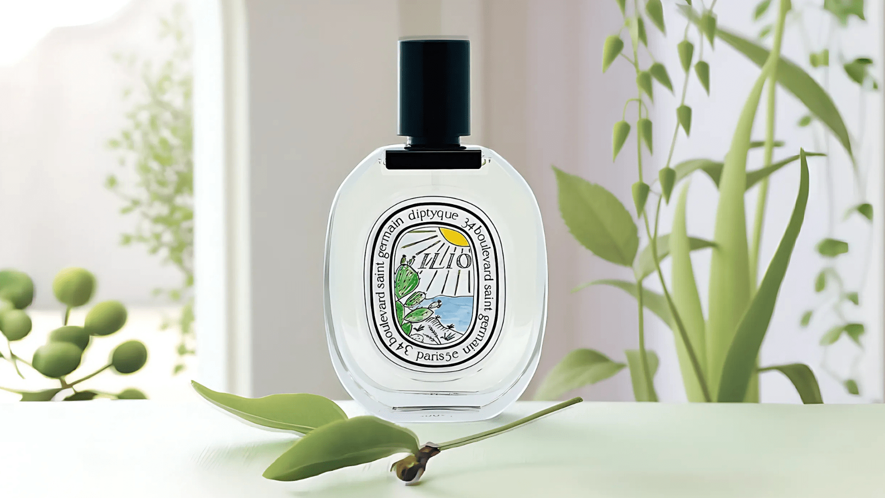 Diptyque Ilio EDT Post image