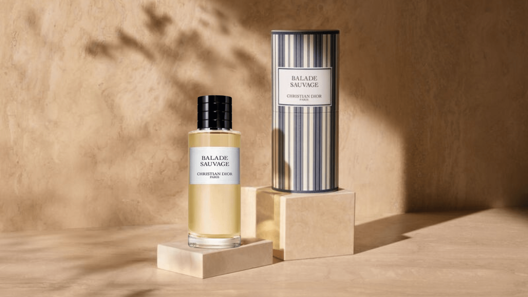 Christian Dior Balade Sauvage EDP Post image