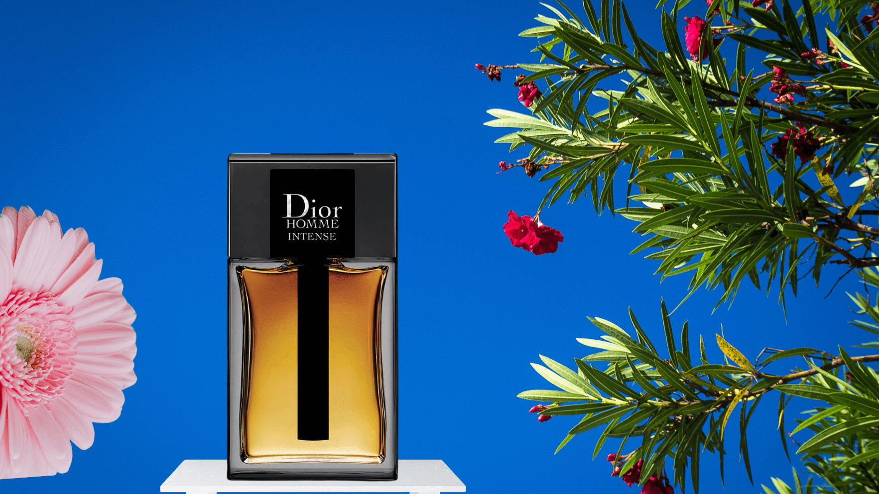 Christian Dior Dior Homme Intense EDP Post image