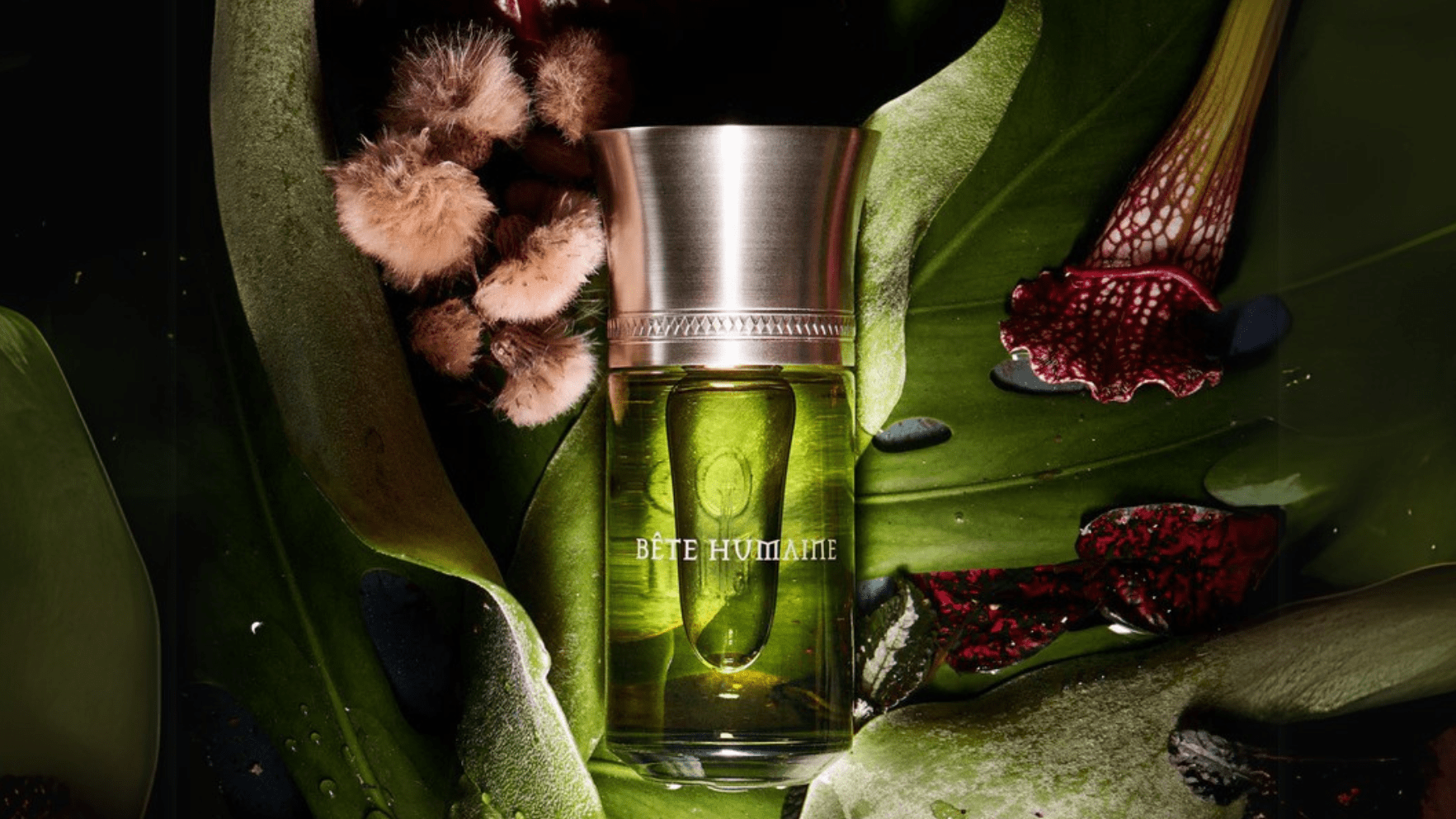 Les Liquides Imaginaires Bete Humaine EDP Post image