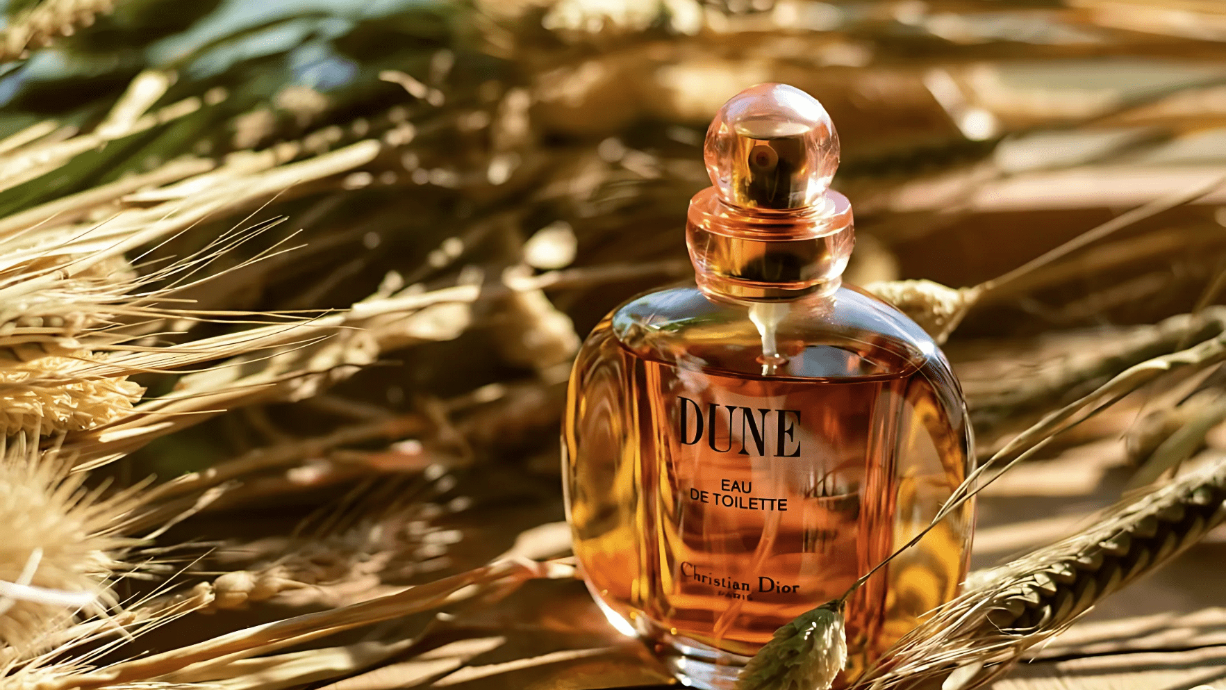 Christian Dior Dune Women EDT Post image