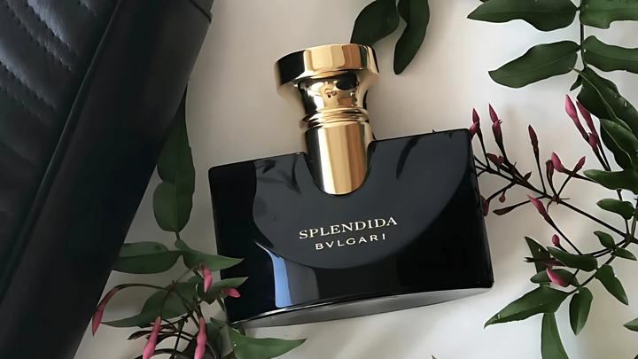 Bvlgari Splendida Jasmin Noir EDP Feature image