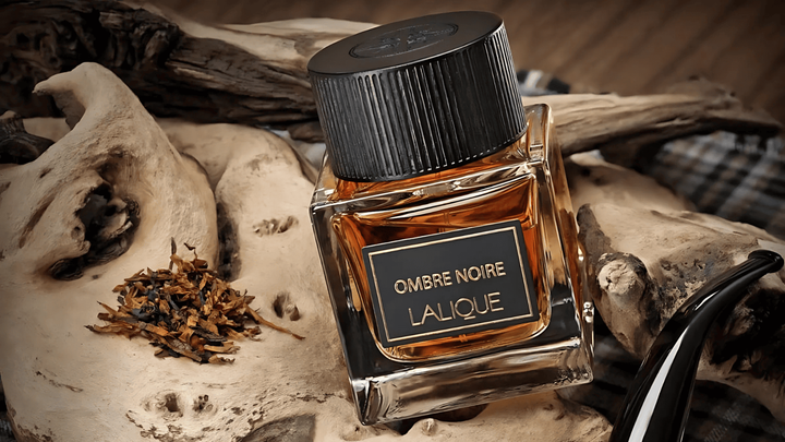 Lalique Ombre Noire EDP Feature image