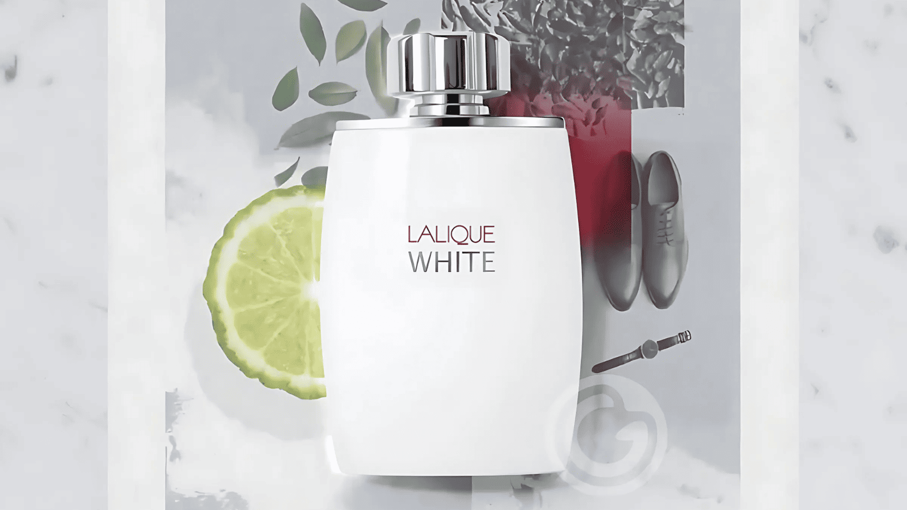 Lalique White Pour Homme EDT Feature image