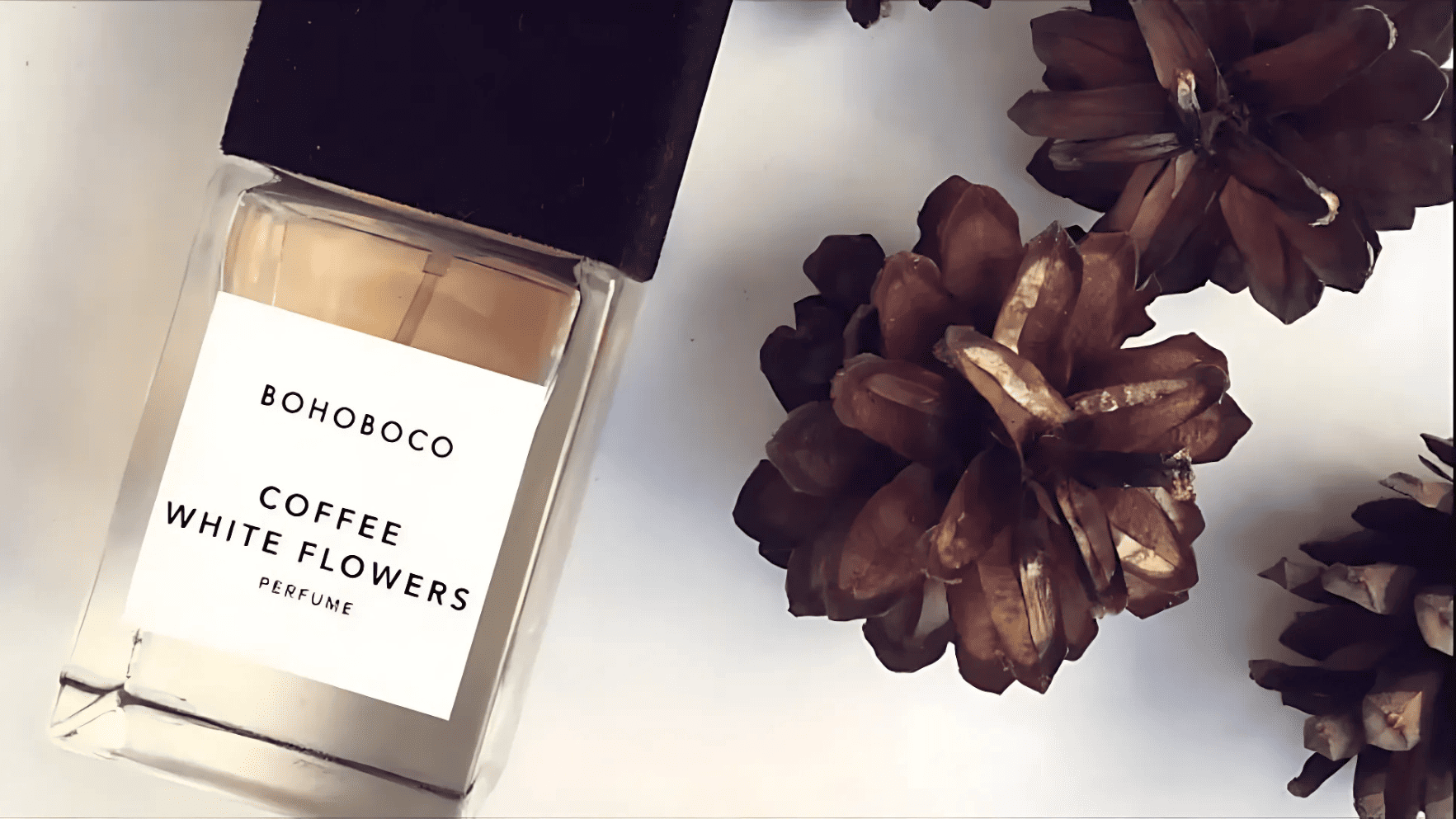 Bohoboco Coffee White Flowers EDP Feature image