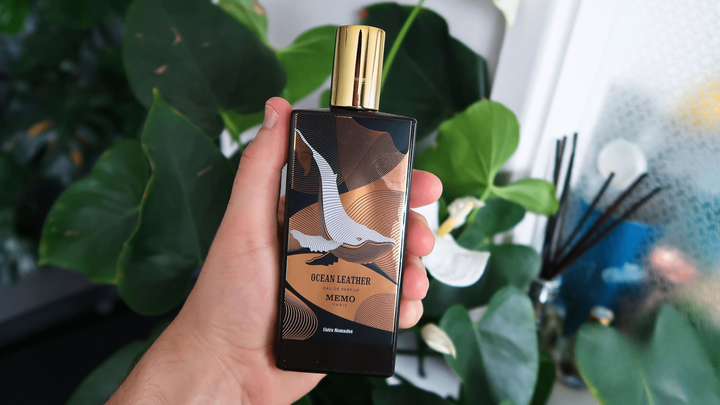 Memo Ocean Leather EDP Feature image