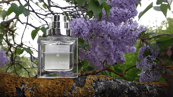 The Different Company Sublime Balkiss EDP Feature image