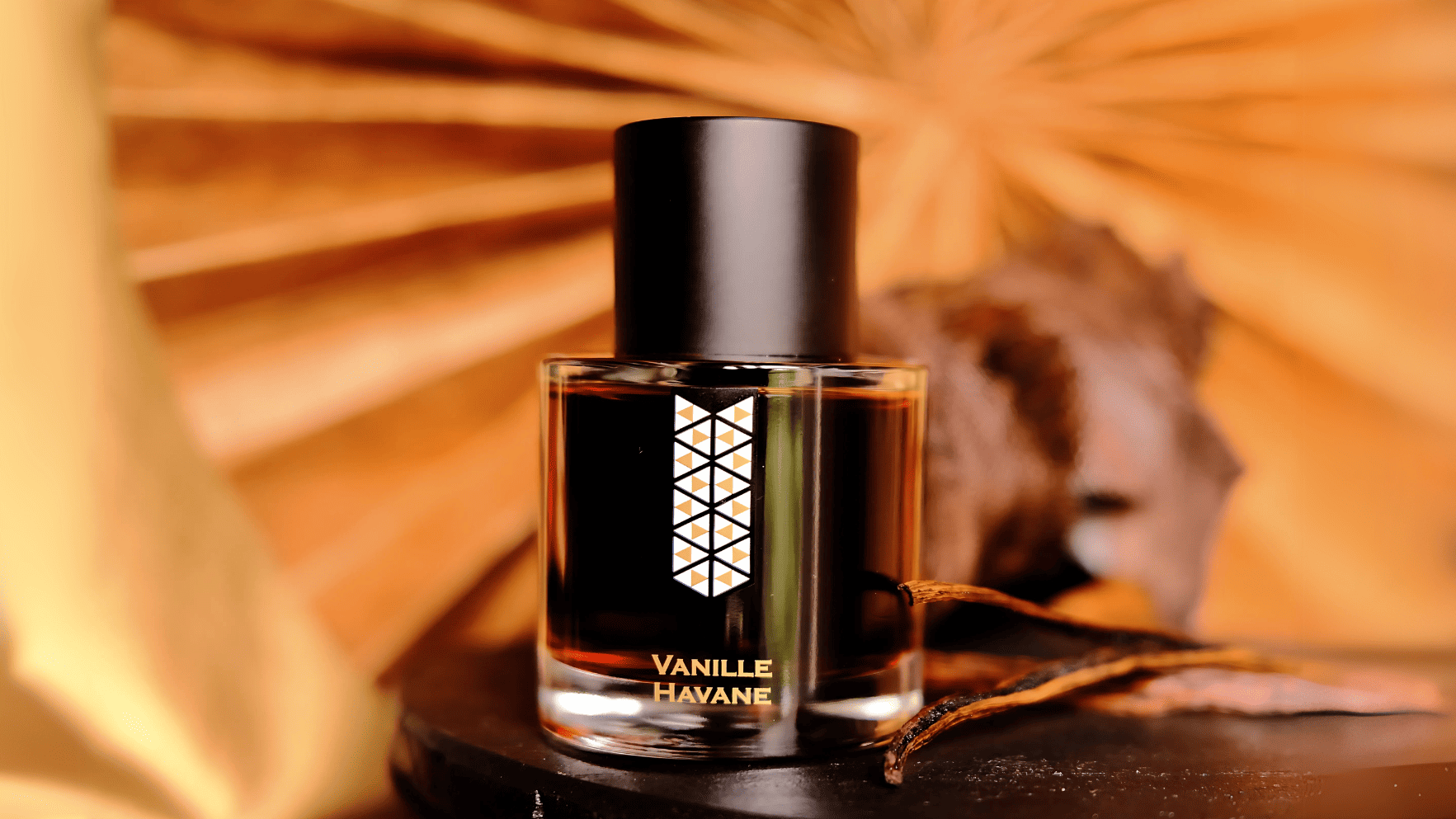 Les Indemodables Vanille Havane Coeur De Oud EDP Feature image