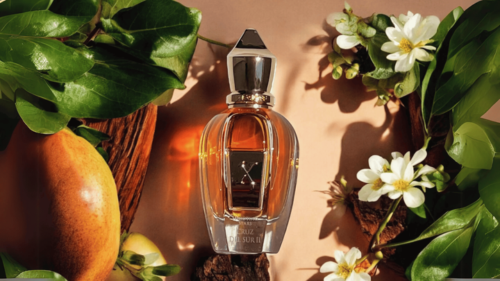 Xerjoff Cruz Del Sur II Parfum Feature image