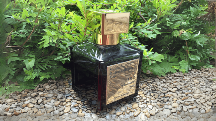Maison Francis Kurkdjian Oud Velvet Mood Extrait De Parfum Feature image