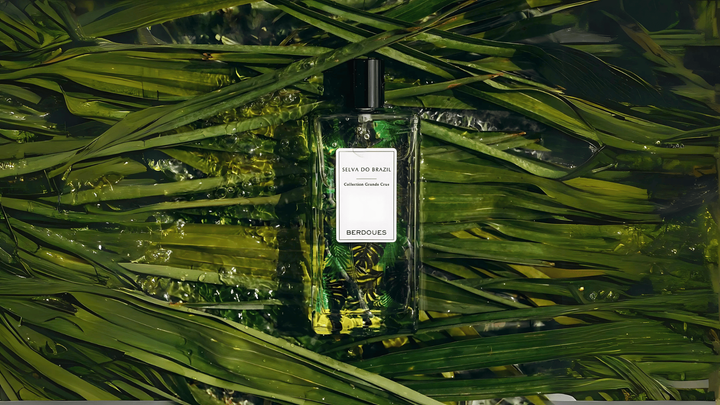 Berdoues Selva Do Brazil EDP Feature image