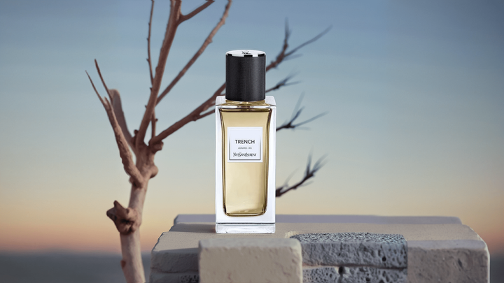 YSL Trench EDP Feature image